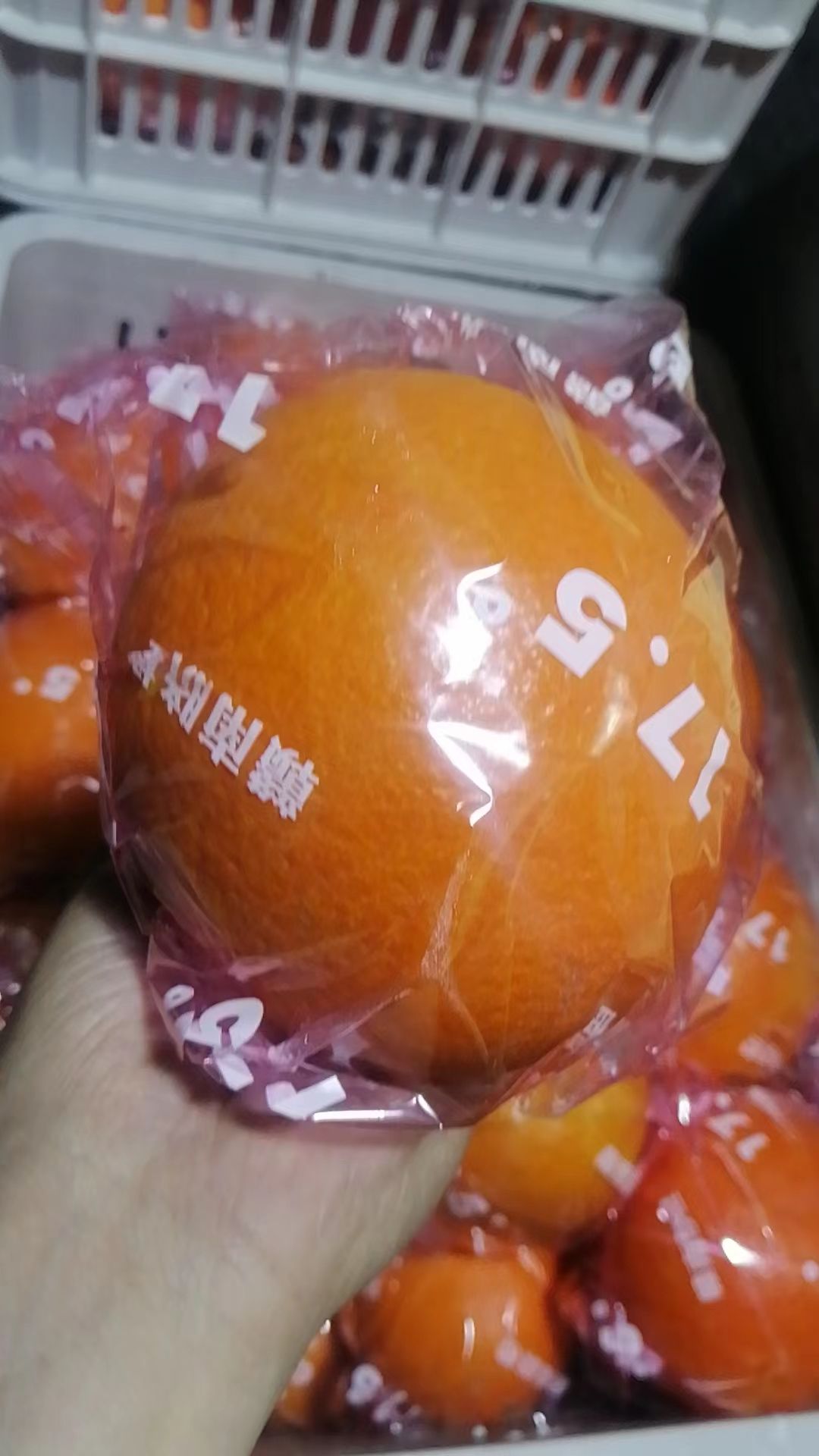 微信图片_20231213174328.jpg